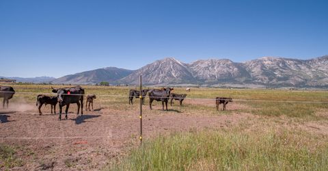 1225 Highway 88, Gardnerville, NV 89460 Photo