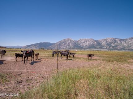 1225 Highway 88, Gardnerville, NV 89460 Photo