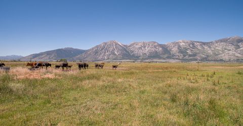 1225 Highway 88, Gardnerville, NV 89460 Photo