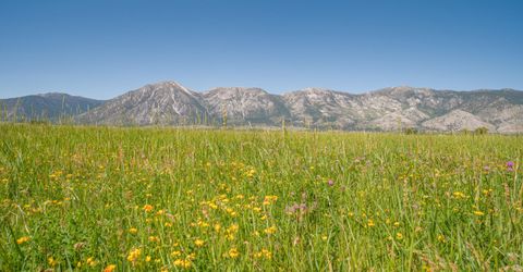 1225 Highway 88, Gardnerville, NV 89460 Photo
