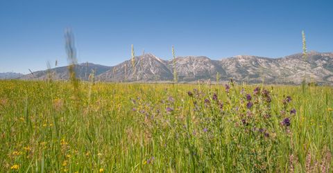 1225 Highway 88, Gardnerville, NV 89460 Photo