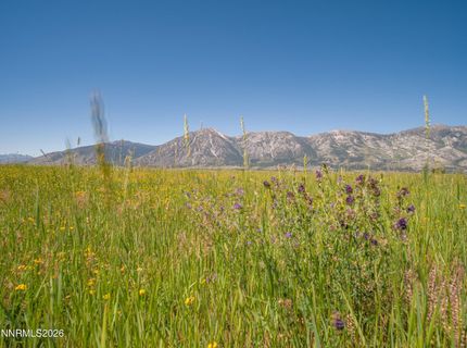 1225 Highway 88, Gardnerville, NV 89460 Photo