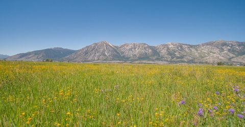 1225 Highway 88, Gardnerville, NV 89460 Photo