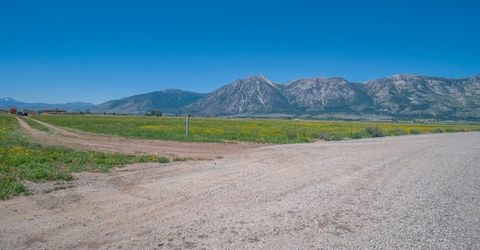 1225 Highway 88, Gardnerville, NV 89460 Photo