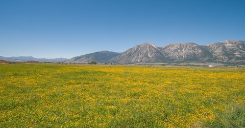 1225 Highway 88, Gardnerville, NV 89460 Photo
