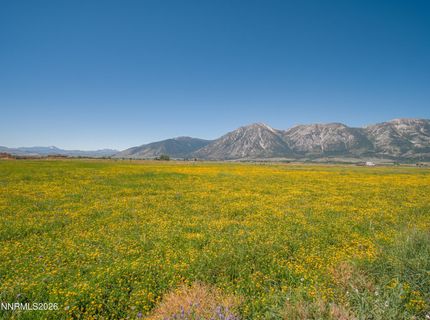1225 Highway 88, Gardnerville, NV 89460 Photo