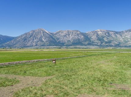 1225 Highway 88, Gardnerville, NV 89460 Photo