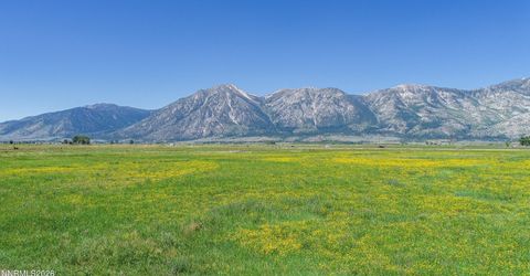 1225 Highway 88, Gardnerville, NV 89460 Photo