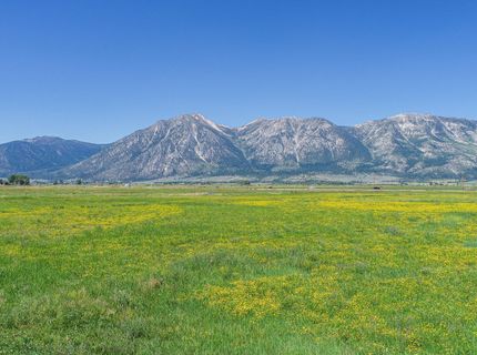 1225 Highway 88, Gardnerville, NV 89460 Photo