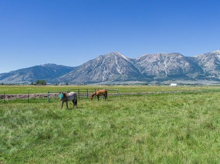 1225 Highway 88, Gardnerville, NV 89460 Photo