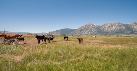 1225 Highway 88, Gardnerville, NV 89460 Photo