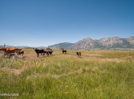1225 Highway 88, Gardnerville, NV 89460 Photo