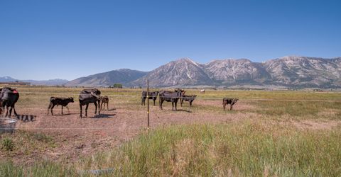 1225 Highway 88, Gardnerville, NV 89460 Photo