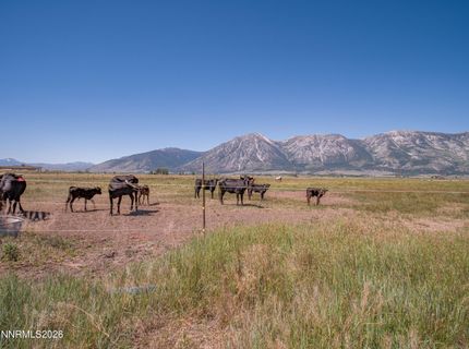 1225 Highway 88, Gardnerville, NV 89460 Photo
