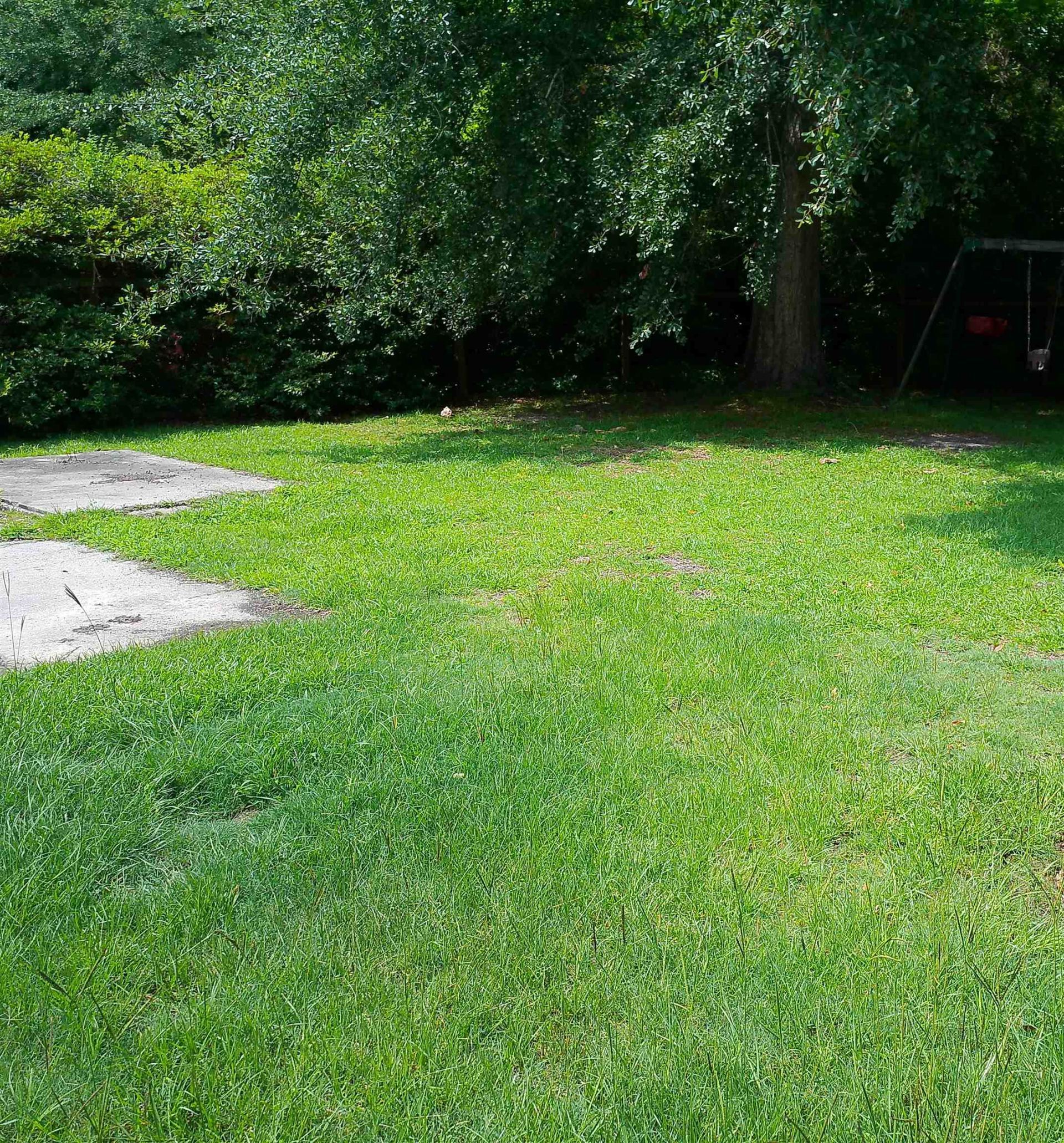 4389 Mcqueen St. Photo 42