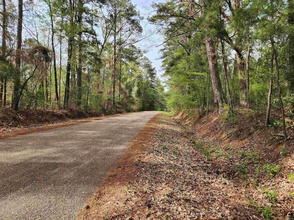 15.56 Acres Ouachita 63 , Louann, AR 71751