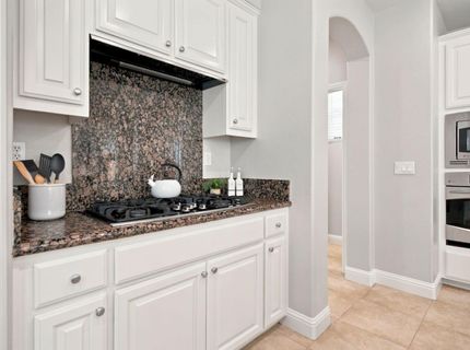 169 N Estes Way, Mountain House, CA 95391 Photo