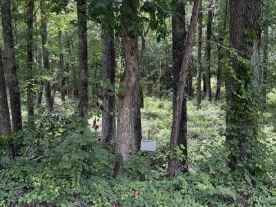 1409 mullis Road, Blythewood, SC 29016