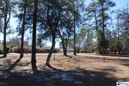 309 E Reaves Ave photo 4
