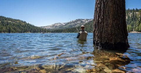 Henness Pass Road, Truckee, CA 96126 Photo