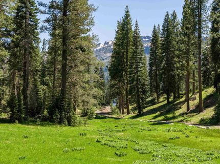 Henness Pass Road, Truckee, CA 96126 Photo