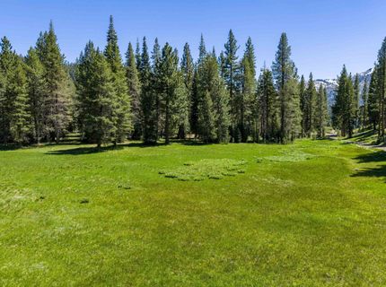 Henness Pass Road, Truckee, CA 96126 Photo