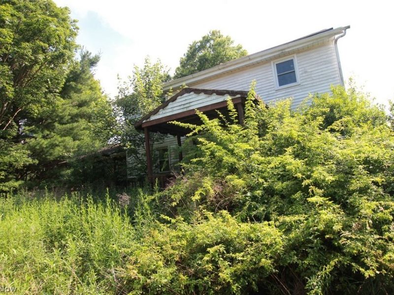 14413 Ellsworth Road, Berlin Center, OH 44401 Photo 34