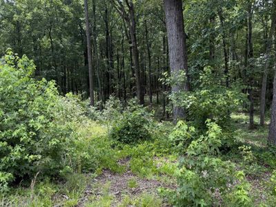 1405 Mullis Road, Blythewood, SC 29016