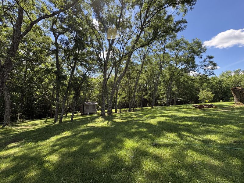 1507 Parina Road, Brooksville, KY 41004 Photo 18