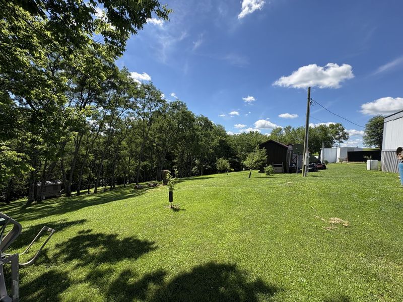 1507 Parina Road, Brooksville, KY 41004 Photo 19