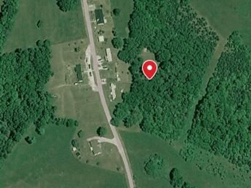 1507 Parina Road, Brooksville, KY 41004 Photo 20