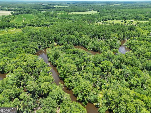 10 ACRES Wildcat Ln - Satilla River, Waycross, GA 31503