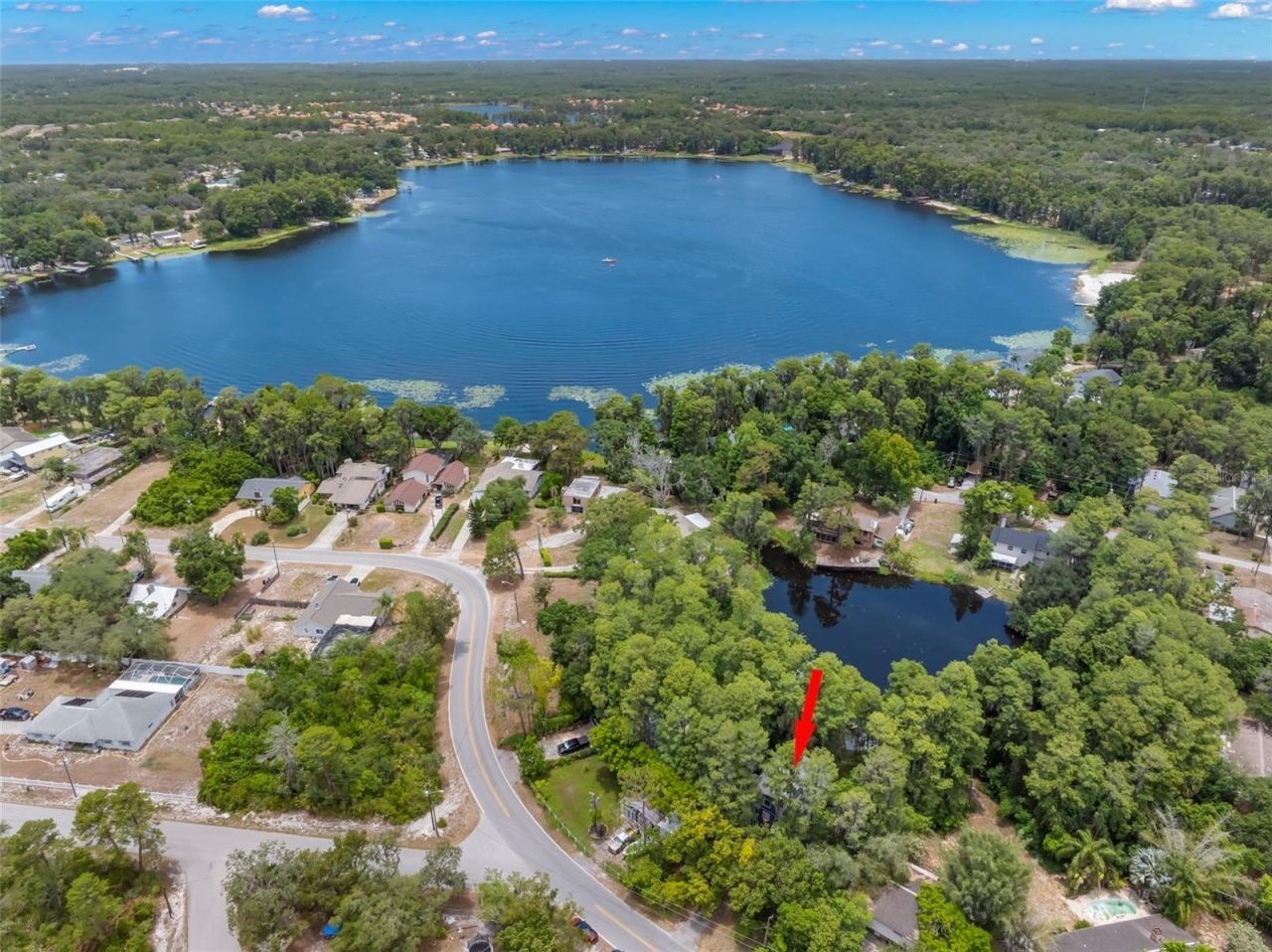 12665 Lacey Drive, New Port Richey, FL 34654 Photo