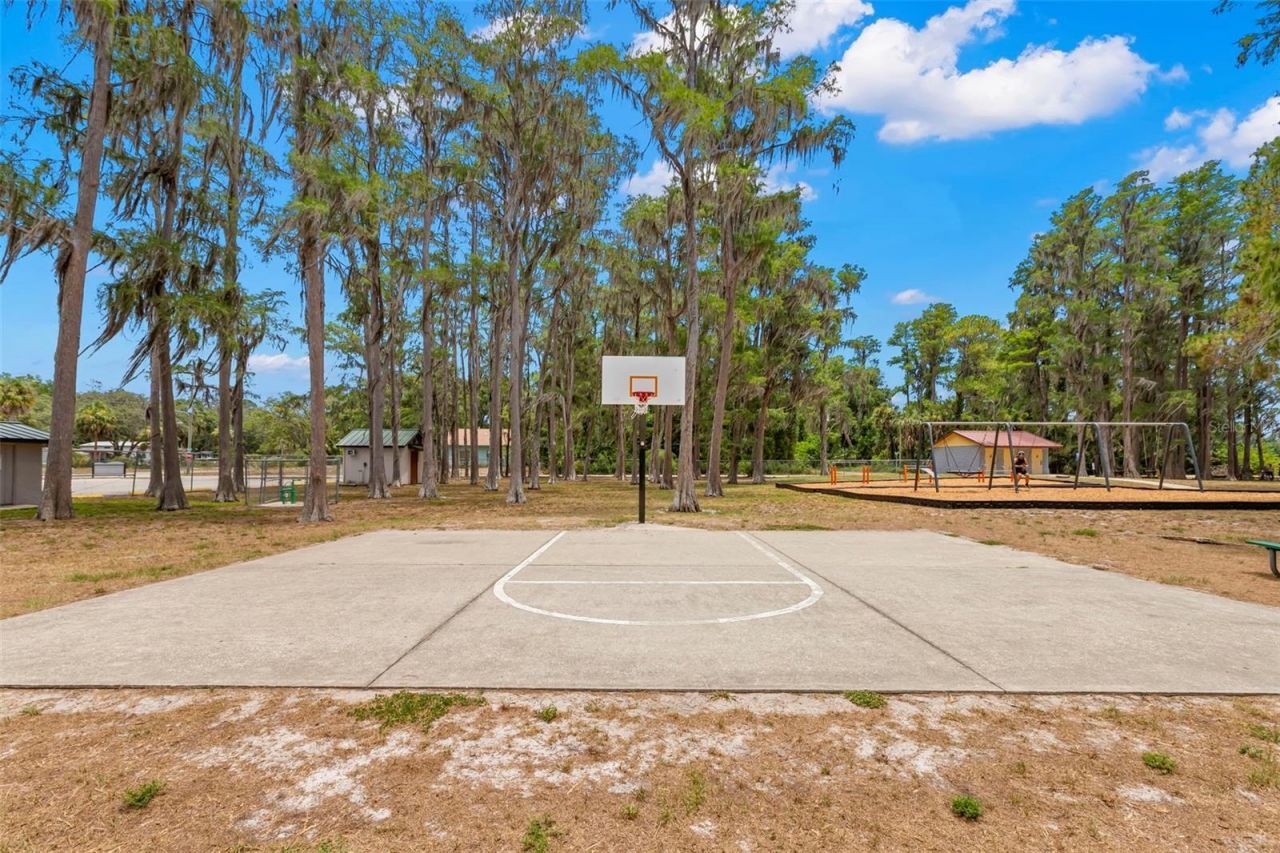 12665 Lacey Drive, New Port Richey, FL 34654 Photo