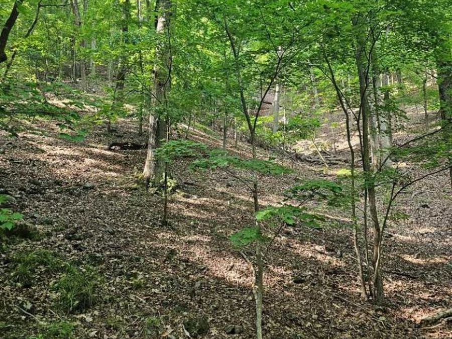 Property Image 11
