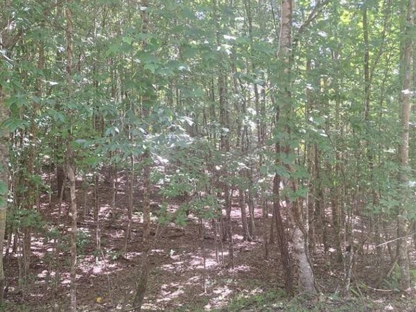 0 Judah Road, Morganton, GA 30560
