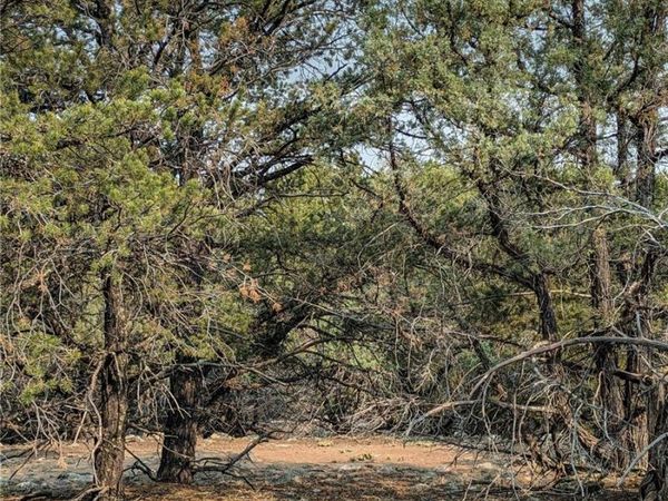 1704 Willow Creek Way, Crestone, CO 81131