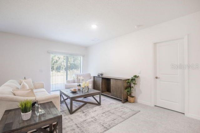 Tbd Lime Tree Drive , Edgewater, FL 32132 Photo