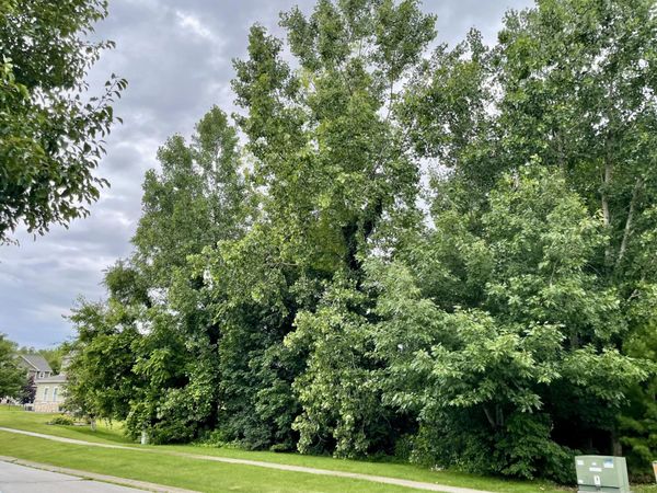 887 Hemingway Trail , Valparaiso, IN 46383