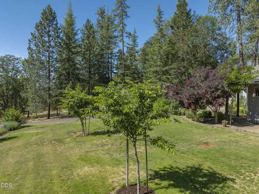 Property Image 59