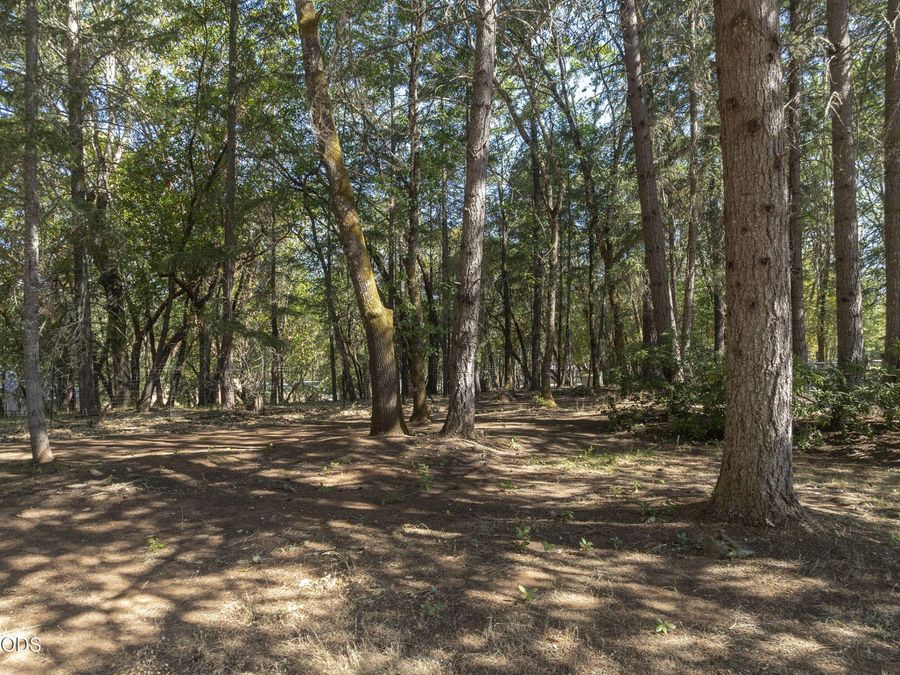 Property Image 65