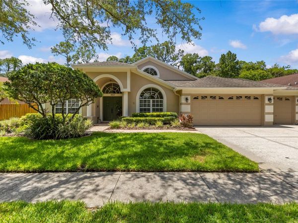 10522 CHAMBERS DRIVE, TAMPA, FL 33626