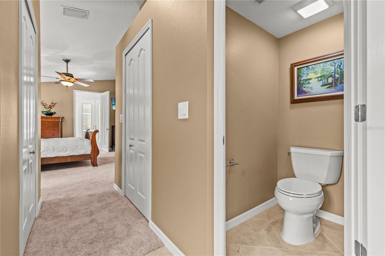 10522 Chambers Drive, Tampa, FL 33626 Photo