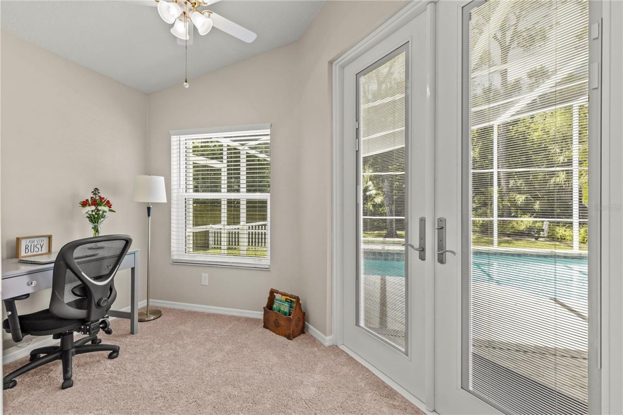 10522 Chambers Drive, Tampa, FL 33626 Photo