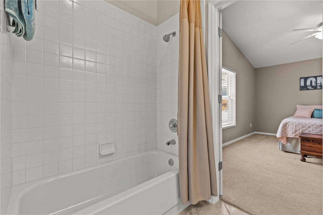 10522 Chambers Drive, Tampa, FL 33626 Photo