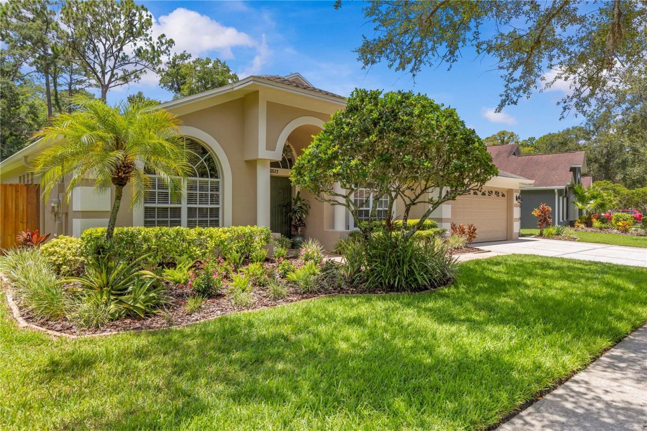 10522 Chambers Drive, Tampa, FL 33626 Photo