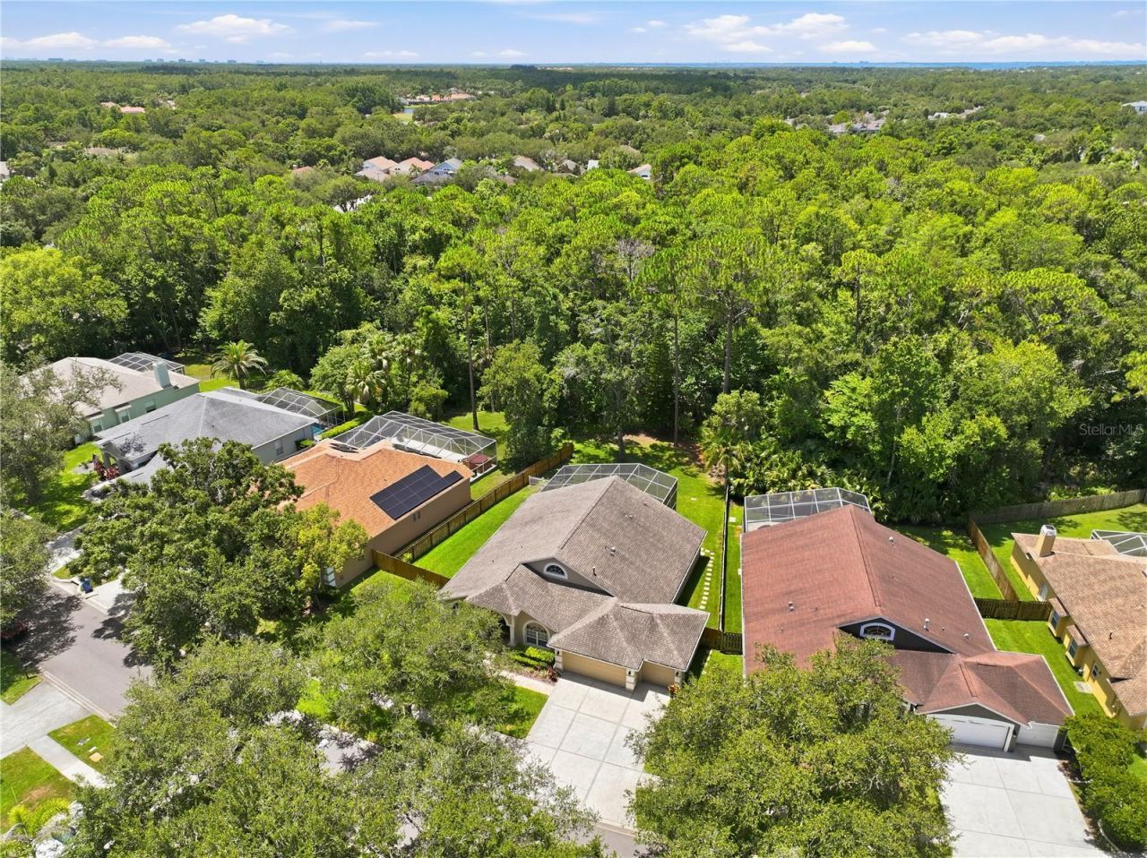 10522 Chambers Drive, Tampa, FL 33626 Photo