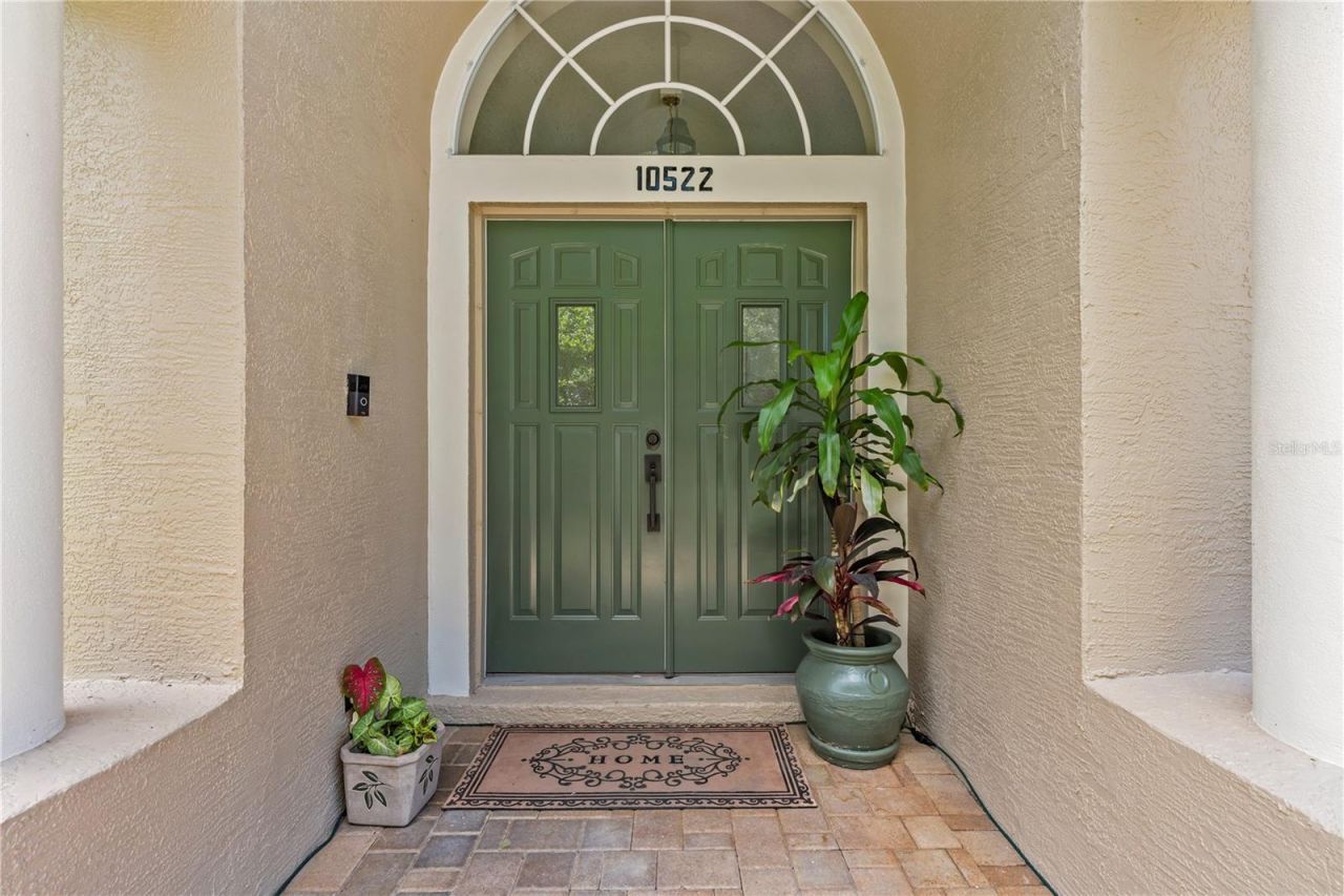 10522 Chambers Drive, Tampa, FL 33626 Photo