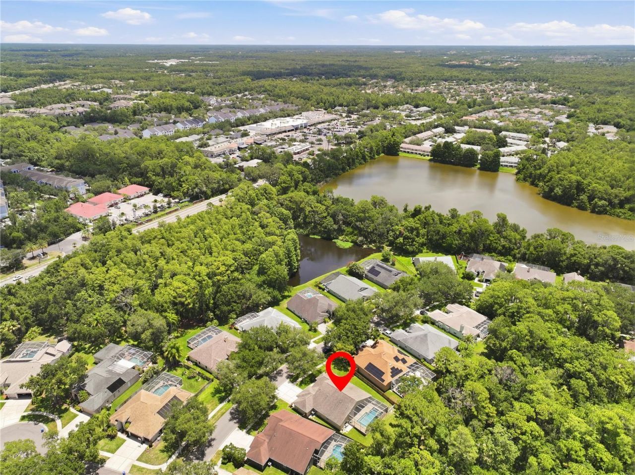 10522 Chambers Drive, Tampa, FL 33626 Photo