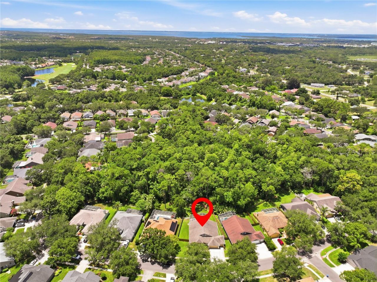 10522 Chambers Drive, Tampa, FL 33626 Photo
